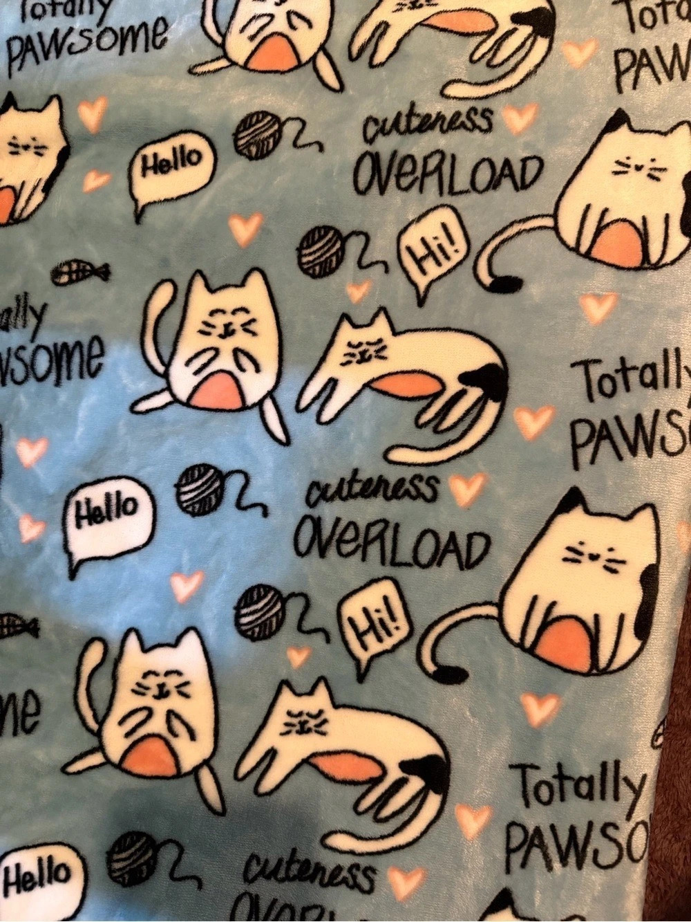 Pickle & Dot Totally Pawsome Cat Plush Throw 70x60